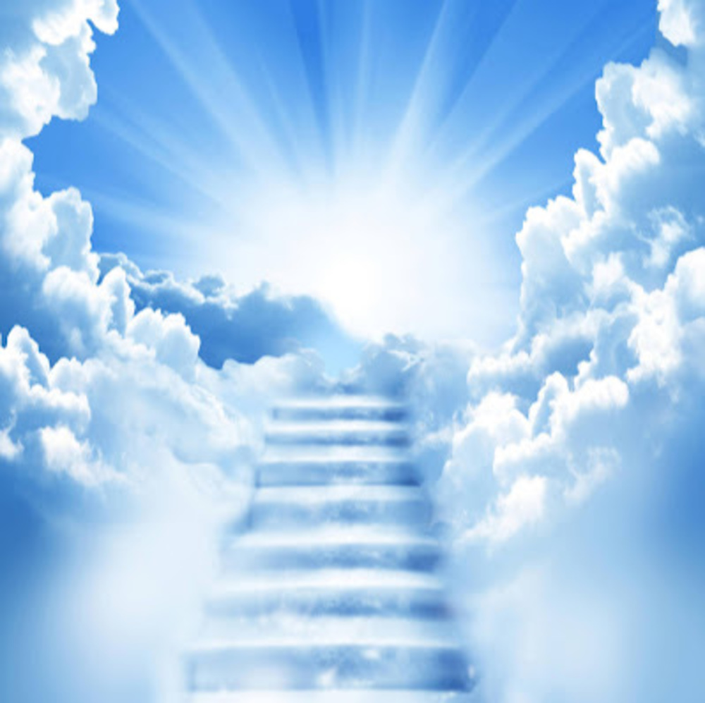 Meet your Posher, Wanderer